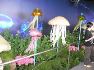 1146883329 1146883329