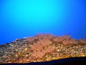 1146883595 1146883595