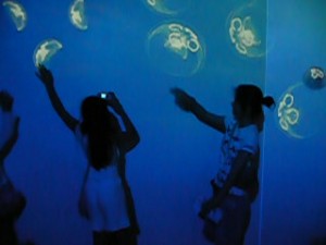 1146884023 1146884023